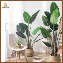 Cây cảnh giả lá chuối